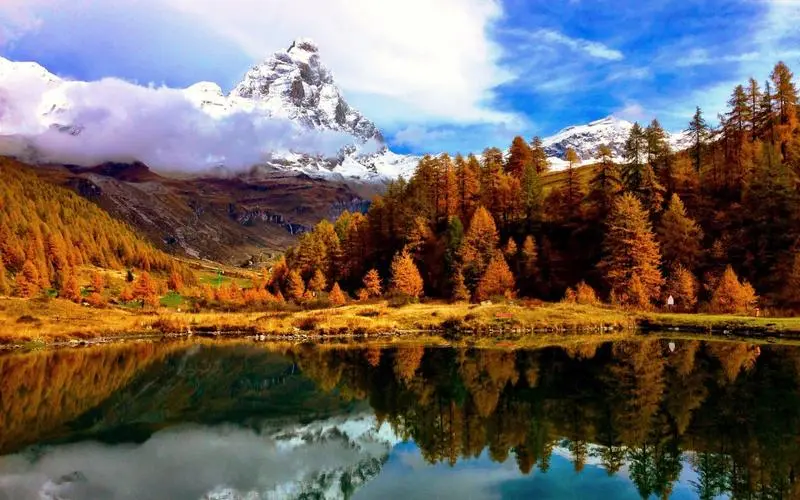 智慧可靠性